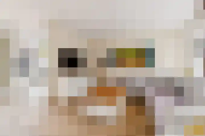 Woerdstraat 34 Duiven thumbnail 43