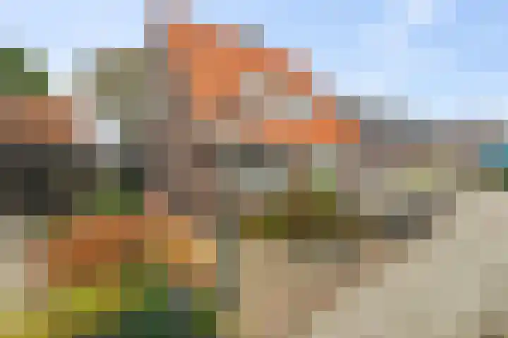 Woerdstraat 34 Duiven thumbnail 48