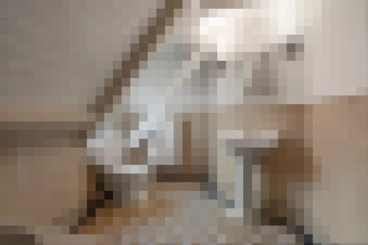 Woerdstraat 34 Duiven thumbnail 48