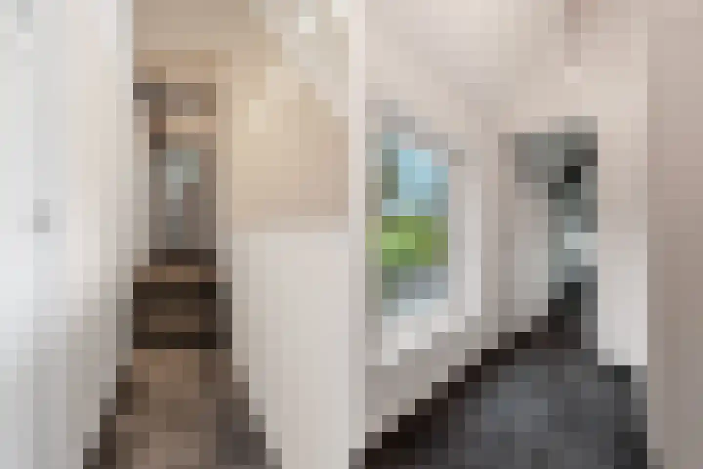 Woerdstraat 34 Duiven thumbnail 51