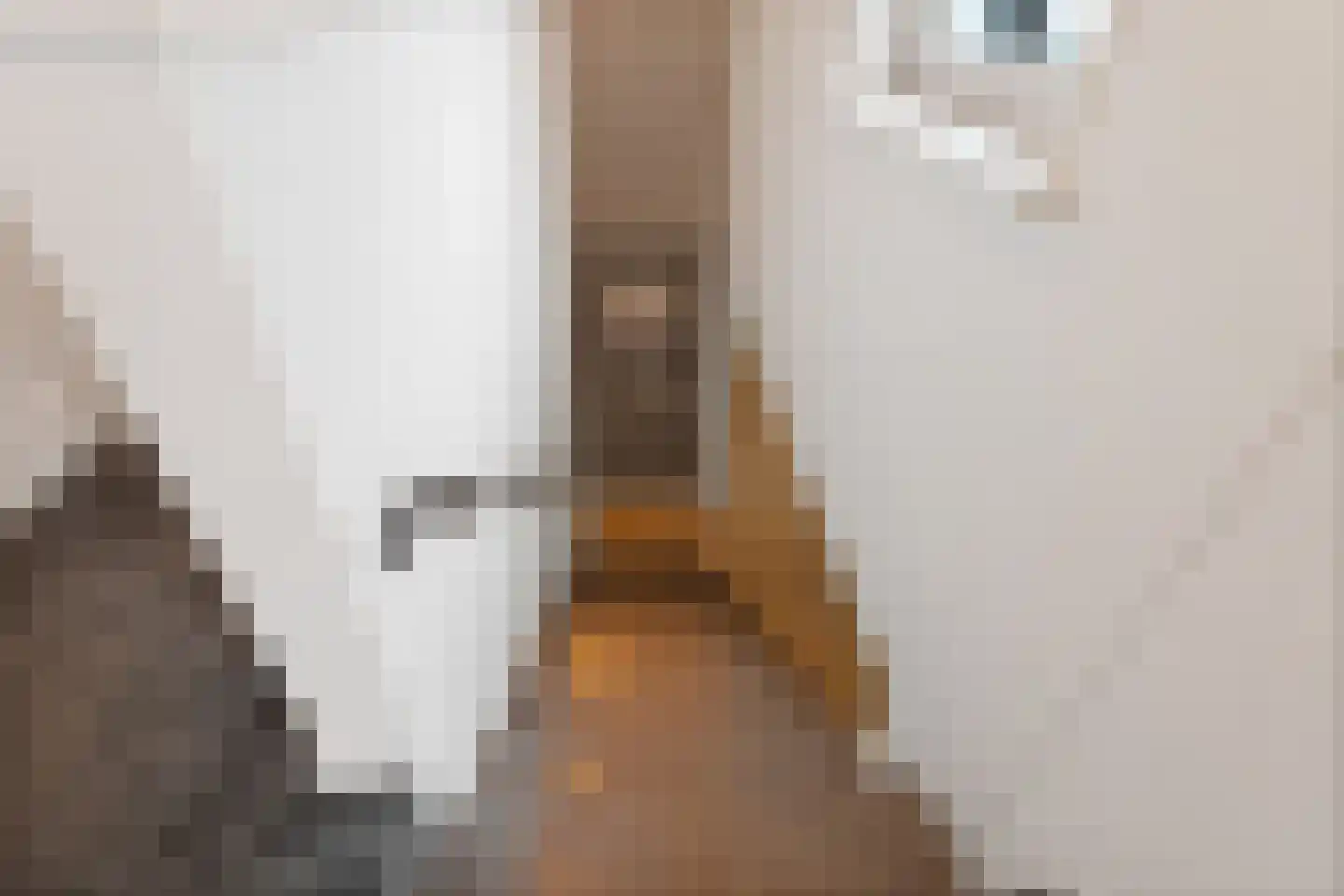 Woerdstraat 34 Duiven thumbnail 52