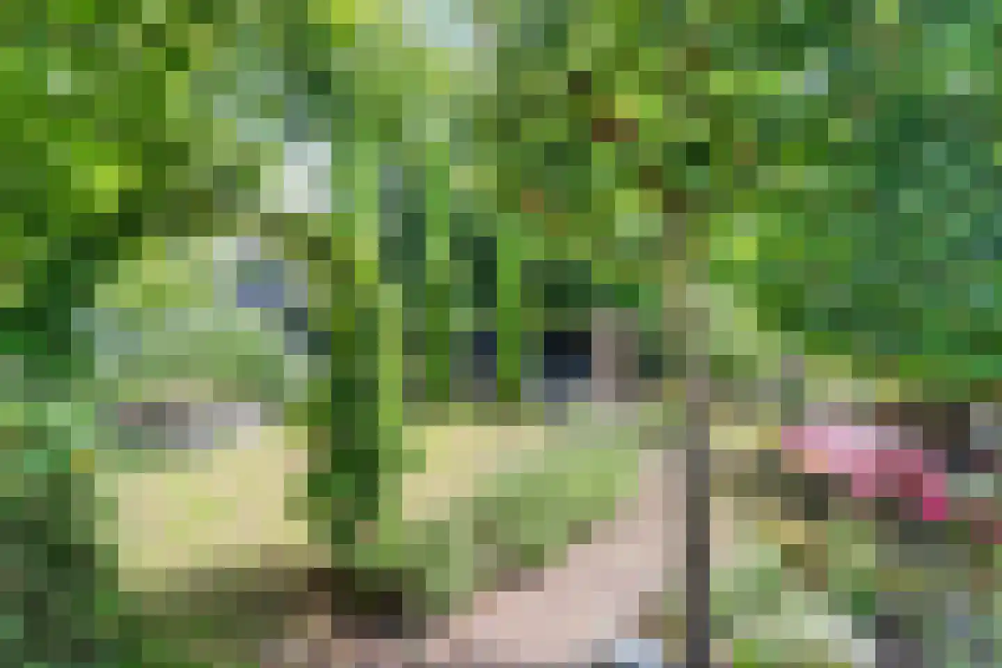 Woerdstraat 34 Duiven thumbnail 55