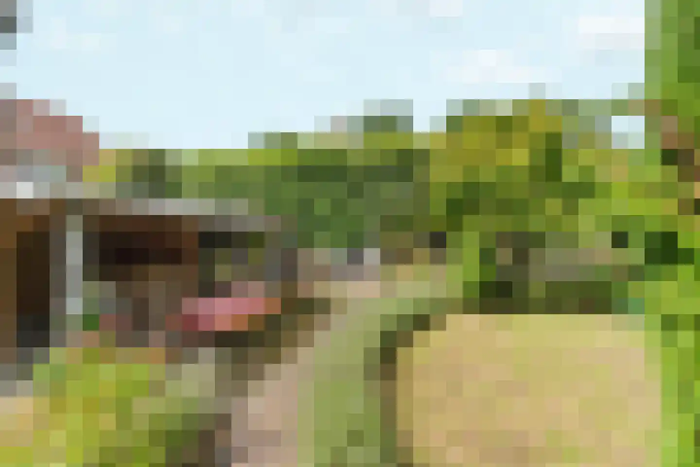 Woerdstraat 34 Duiven thumbnail 61
