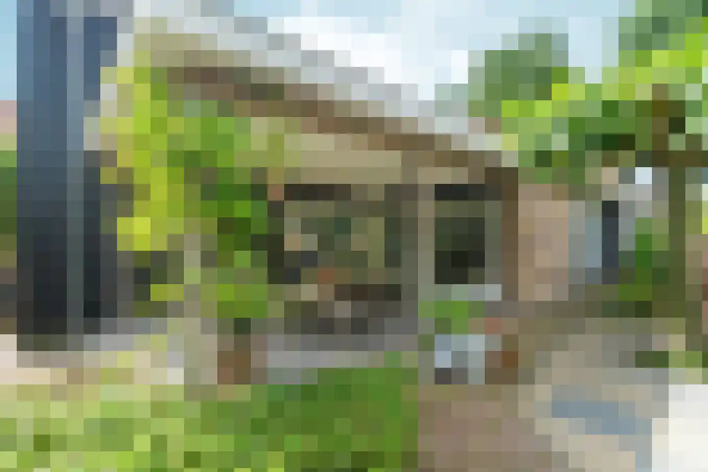 Woerdstraat 34 Duiven thumbnail 66