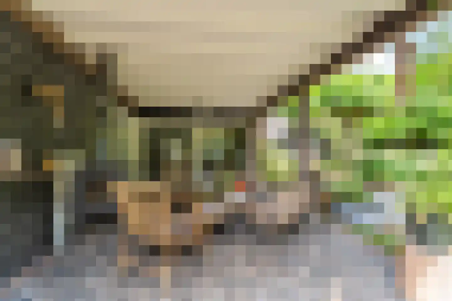 Woerdstraat 34 Duiven thumbnail 68