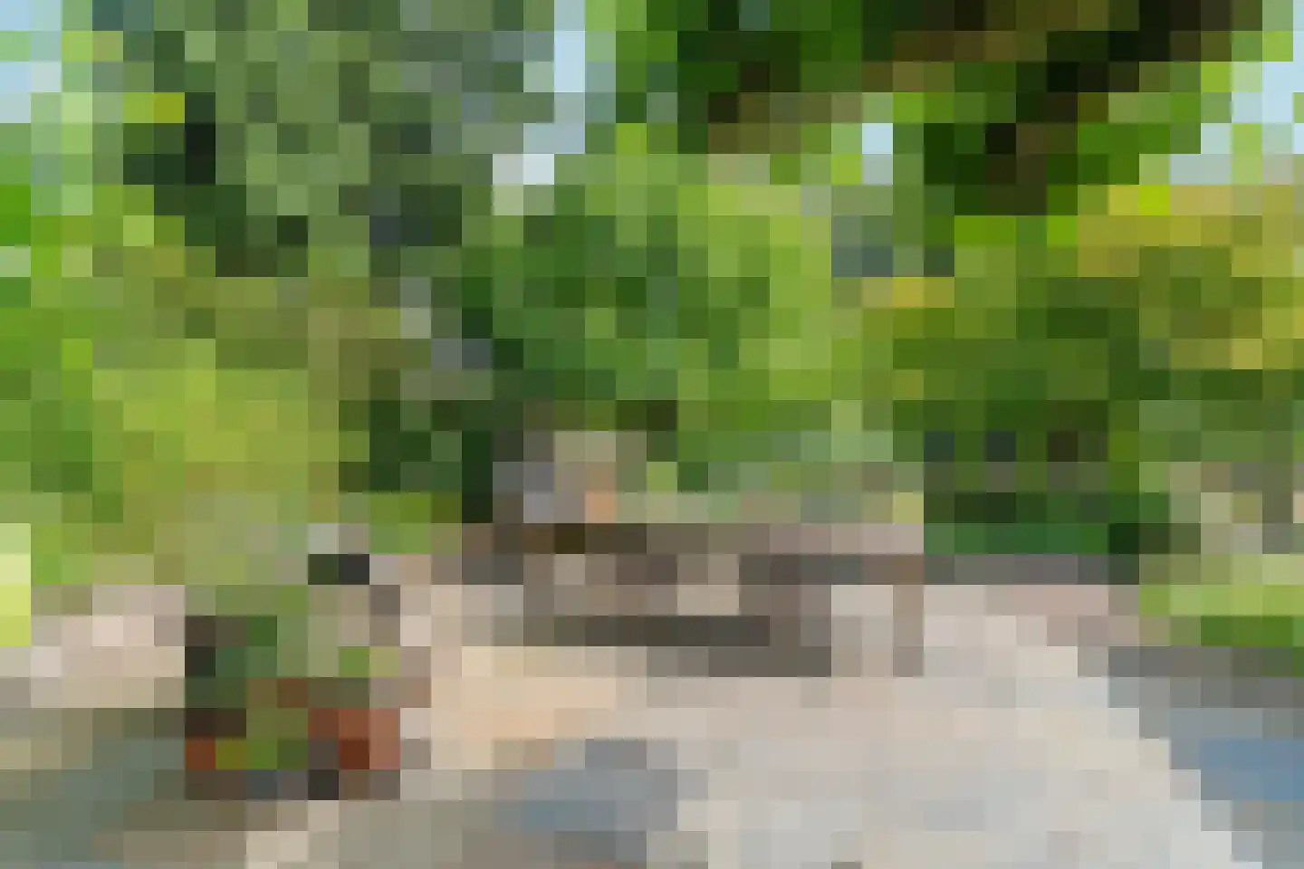 Woerdstraat 34 Duiven thumbnail 70