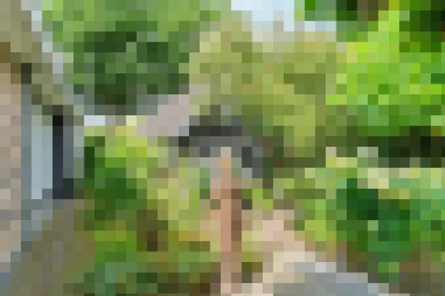 Woerdstraat 34 Duiven thumbnail 72