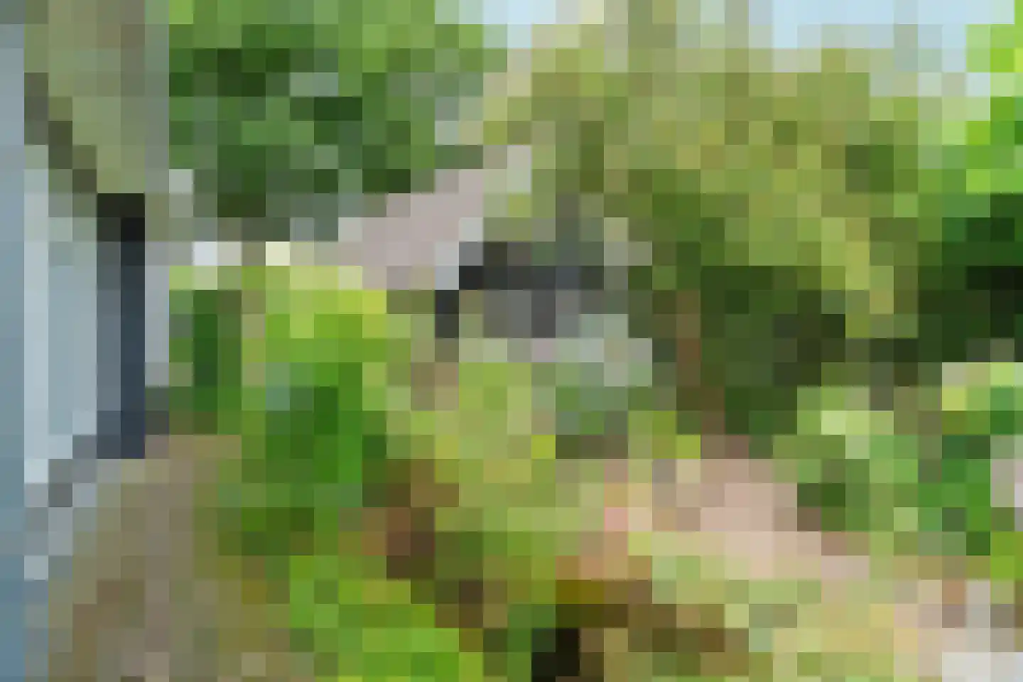 Woerdstraat 34 Duiven thumbnail 73