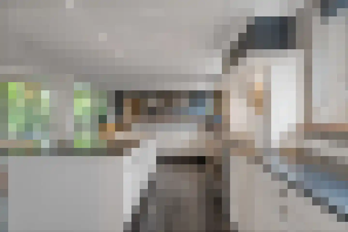 Woerdstraat 34 Duiven thumbnail 8