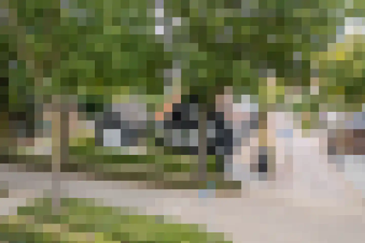 Woerdstraat 34 Duiven thumbnail 85