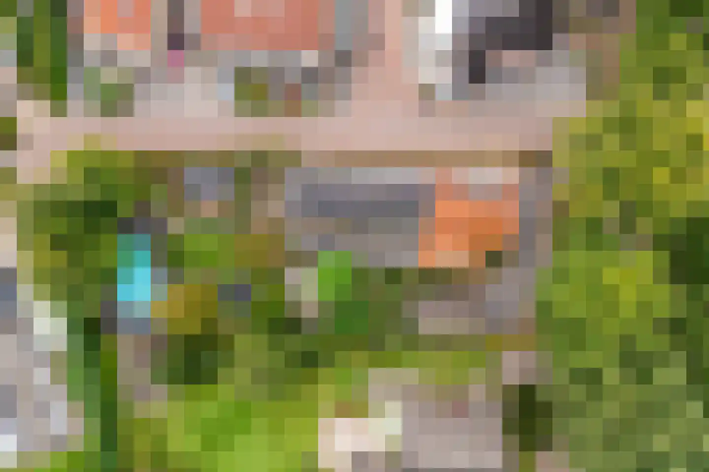 Woerdstraat 34 Duiven thumbnail 89
