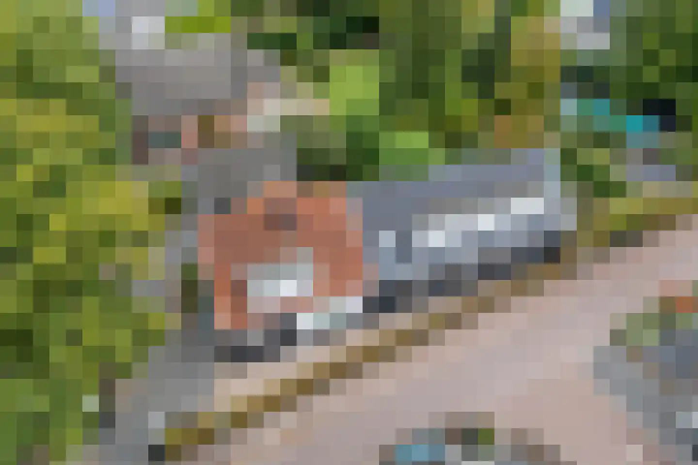 Woerdstraat 34 Duiven thumbnail 91