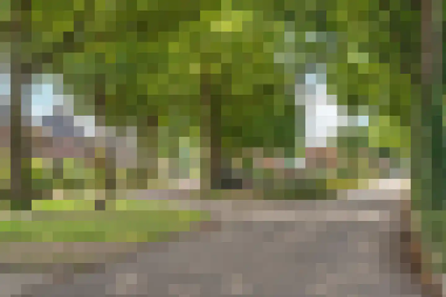 Woerdstraat 34 Duiven thumbnail 94