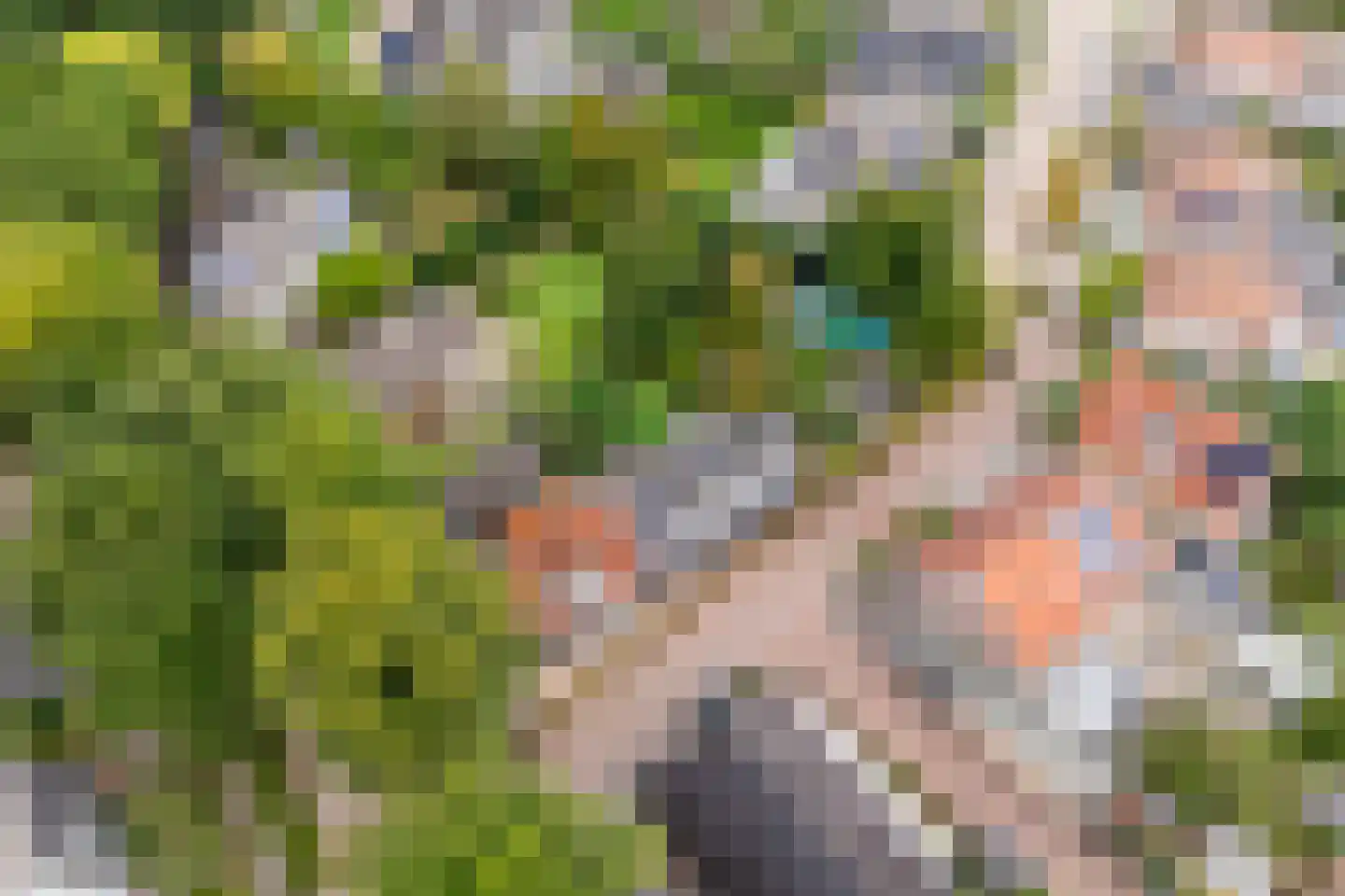 Woerdstraat 34 Duiven thumbnail 97