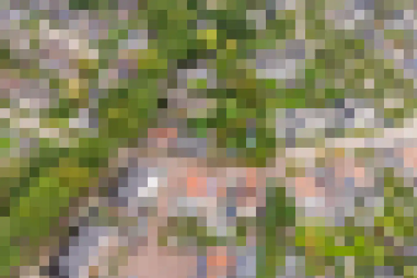 Woerdstraat 34 Duiven thumbnail 98