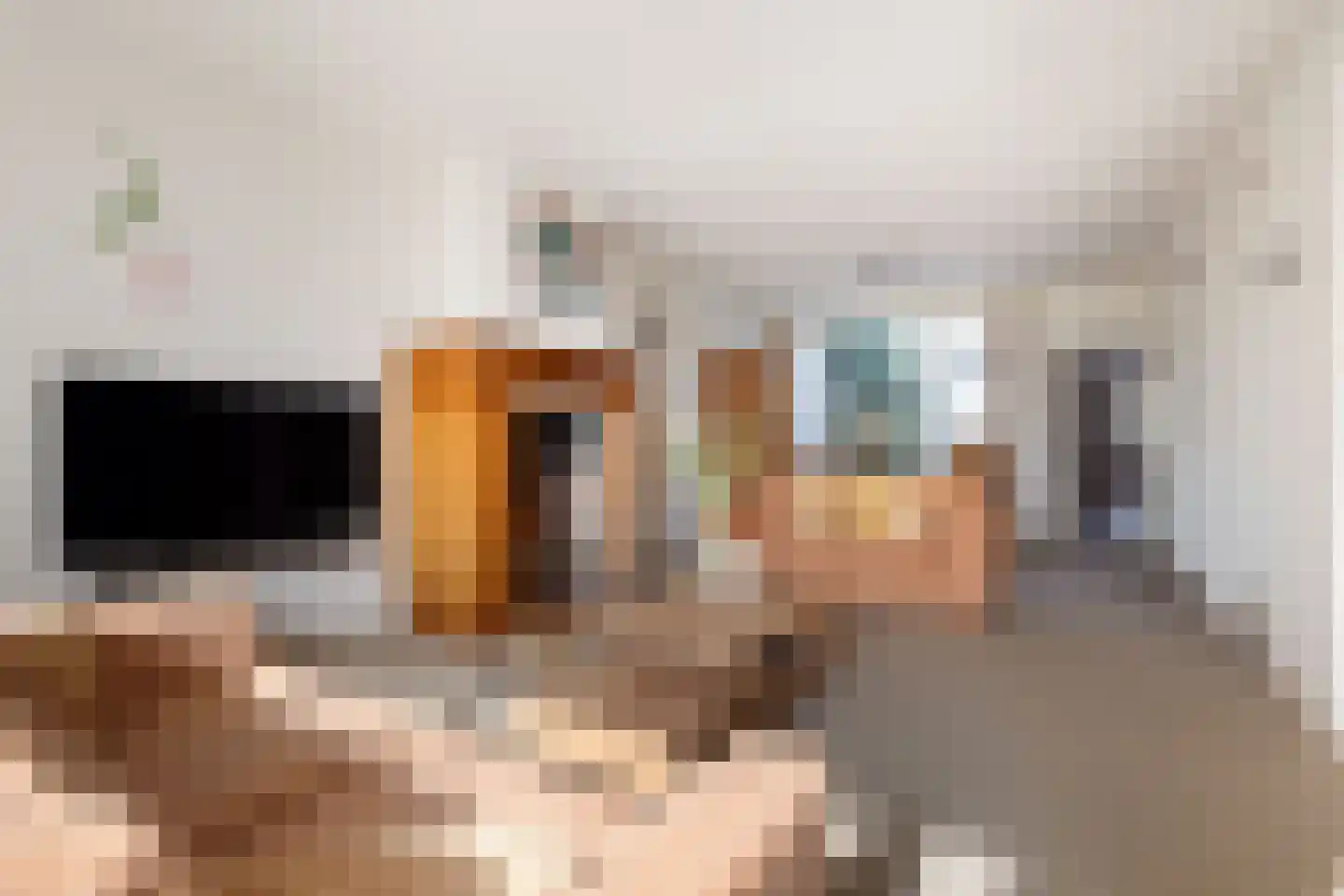 Woeringenlaan 23 Waalwijk thumbnail 15