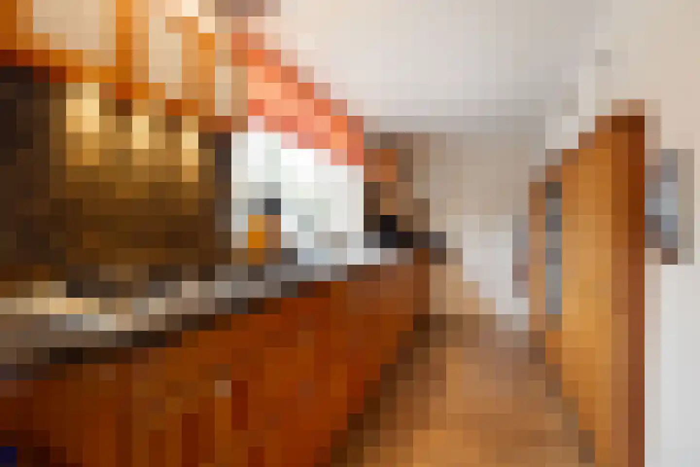 Woeringenlaan 23 Waalwijk thumbnail 17