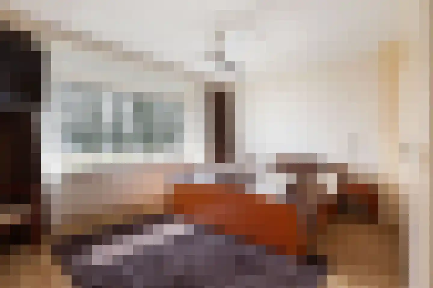 Woeringenlaan 23 Waalwijk thumbnail 29