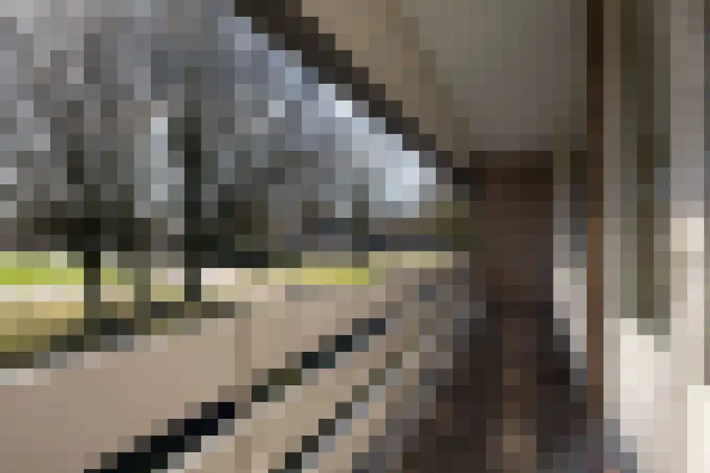 Woeringenlaan 23 Waalwijk thumbnail 33