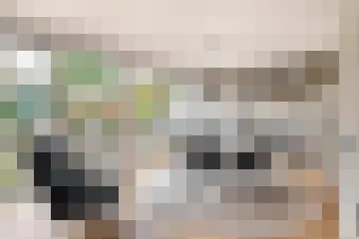 Woeringenlaan 37 Waalwijk thumbnail 14