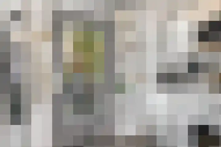Woeringenlaan 37 Waalwijk thumbnail 21