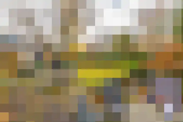 Woeringenlaan 37 Waalwijk thumbnail 22