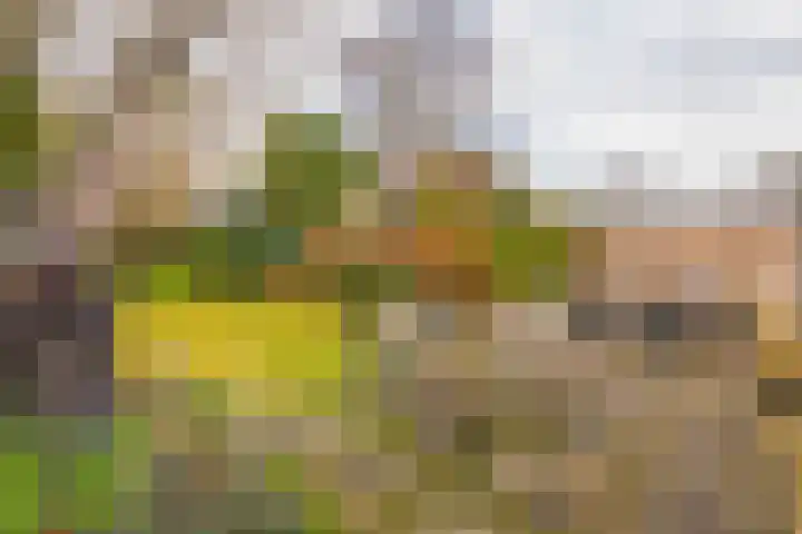 Woeringenlaan 37 Waalwijk thumbnail 23