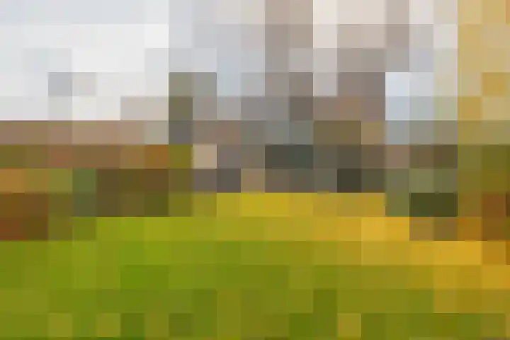 Woeringenlaan 37 Waalwijk thumbnail 25