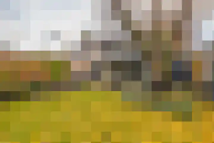 Woeringenlaan 37 Waalwijk thumbnail 26