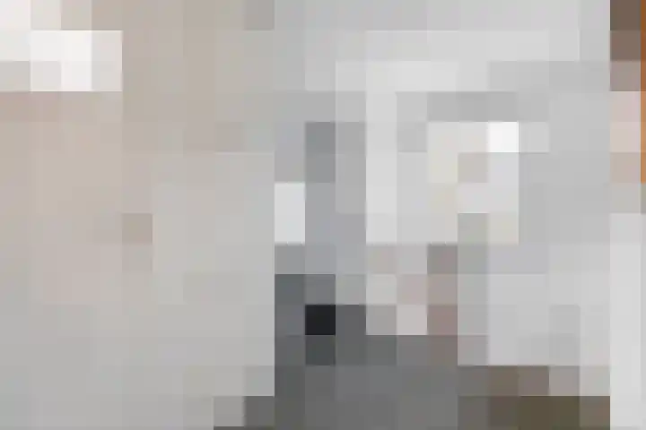 Woeringenlaan 37 Waalwijk thumbnail 27
