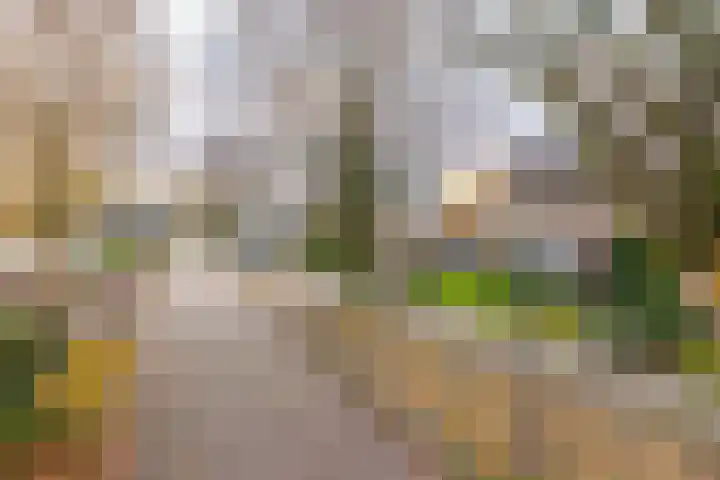 Woeringenlaan 37 Waalwijk thumbnail 4