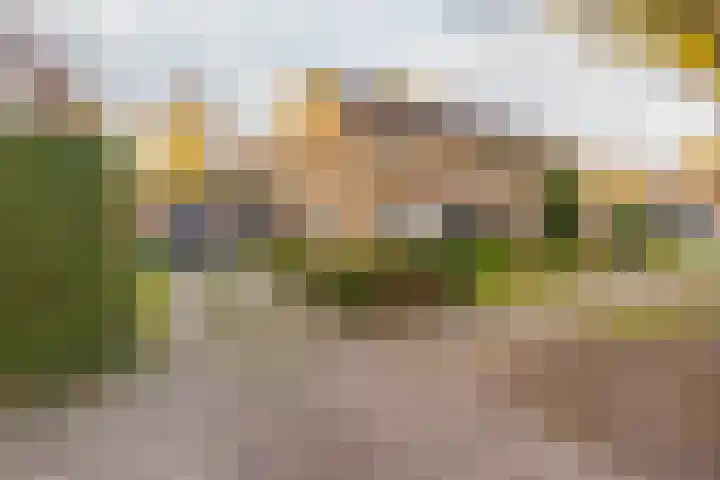 Woeringenlaan 37 Waalwijk thumbnail 5