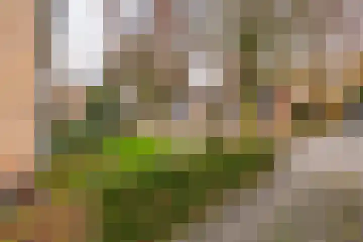 Woeringenlaan 37 Waalwijk thumbnail 6