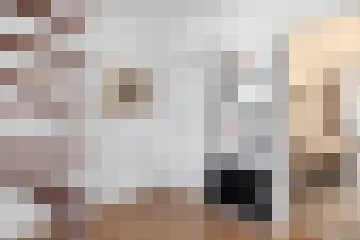 Woeringenlaan 37 Waalwijk thumbnail 8