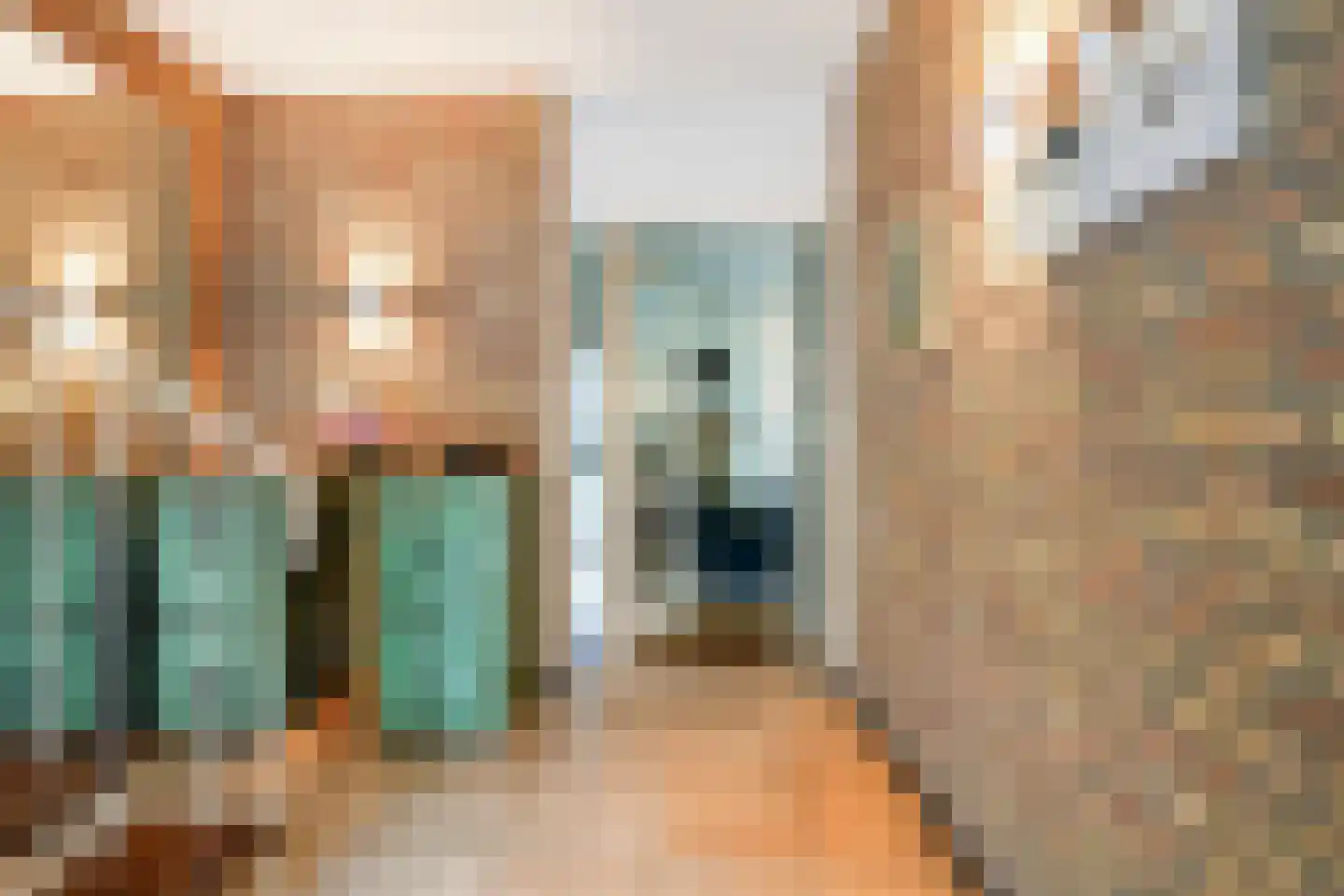 Woeringenlaan 8 Waalwijk thumbnail 17
