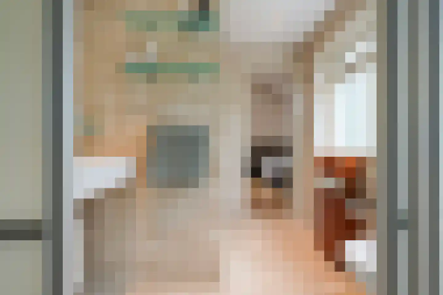 Woeringenlaan 8 Waalwijk thumbnail 24