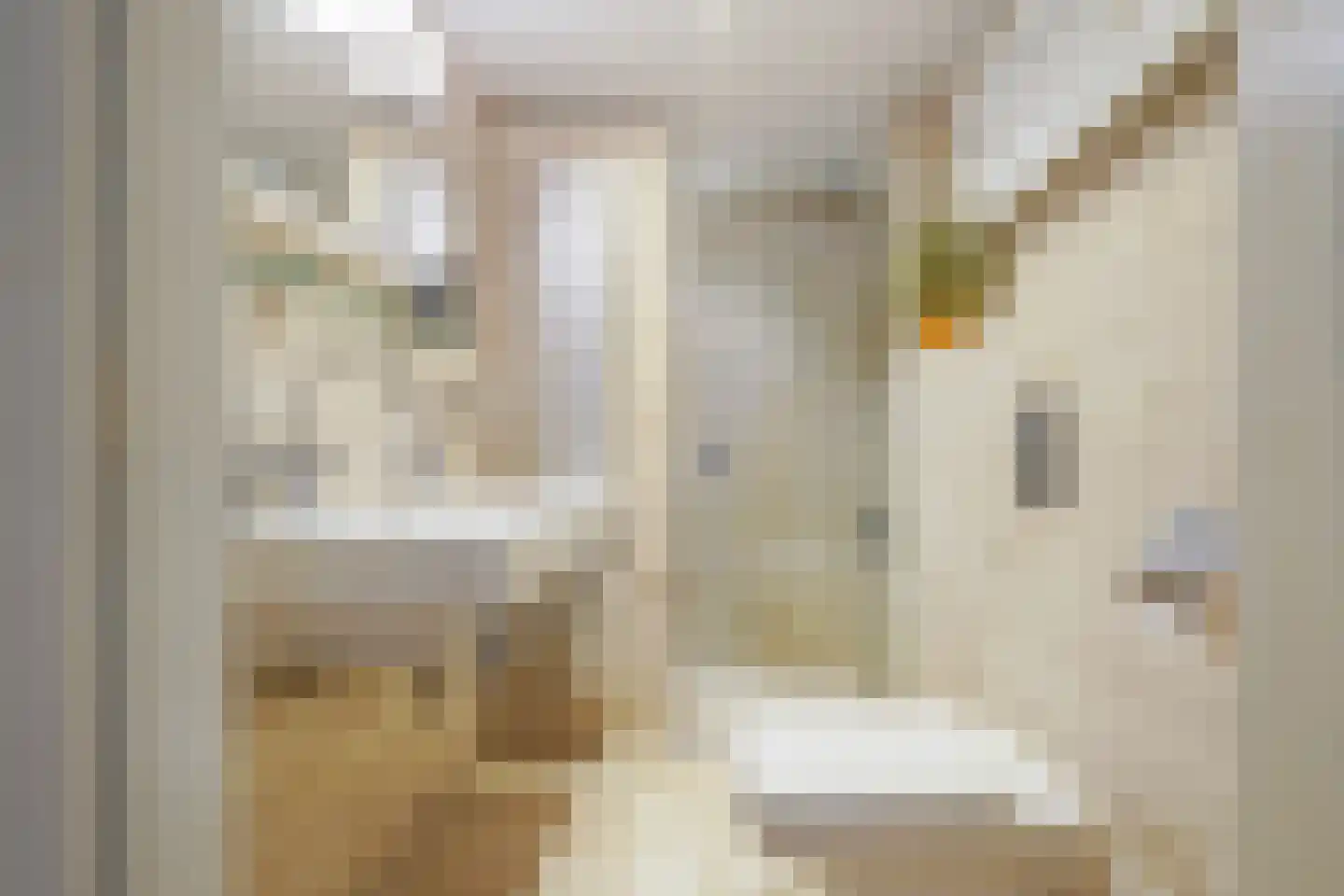 Woeringenlaan 8 Waalwijk thumbnail 32