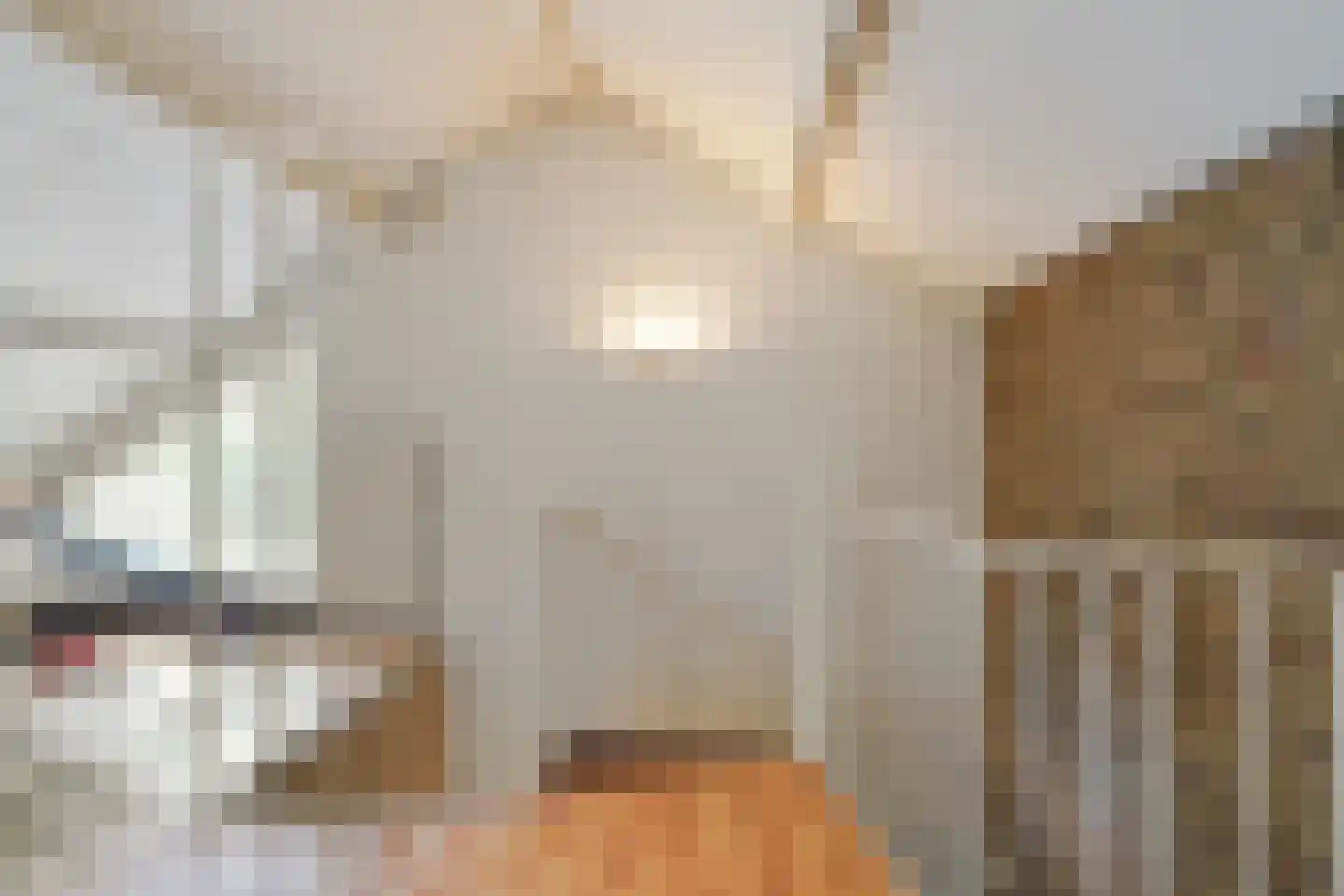Woeringenlaan 8 Waalwijk thumbnail 34