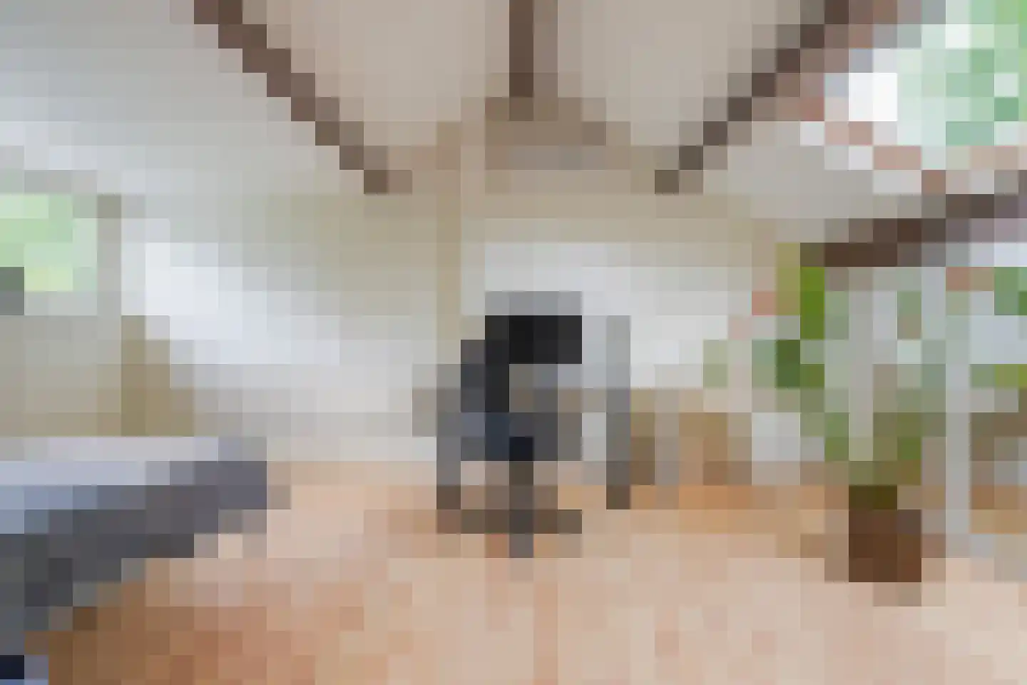Woeringenlaan 8 Waalwijk thumbnail 35