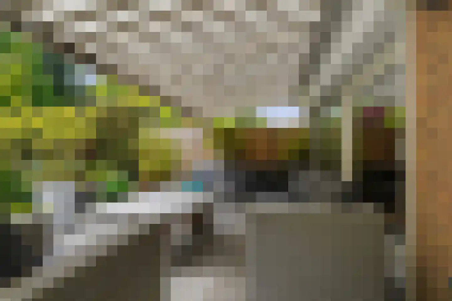 Woeringenlaan 8 Waalwijk thumbnail 39