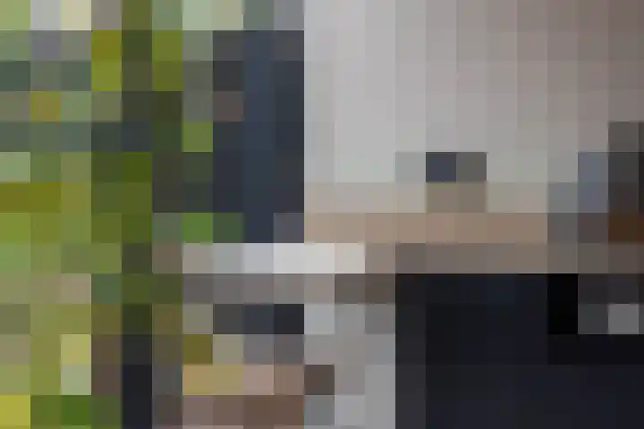 Woeringenstraat 12 Stein thumbnail 10