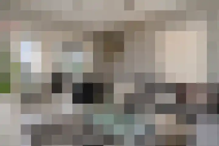 Woeringenstraat 12 Stein thumbnail 12