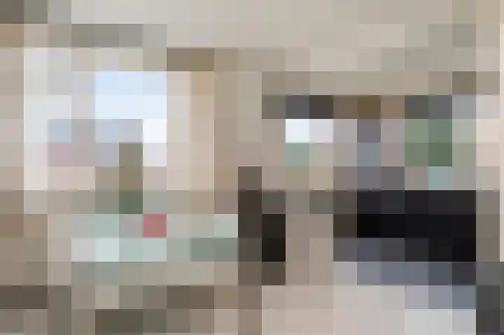 Woeringenstraat 12 Stein thumbnail 13