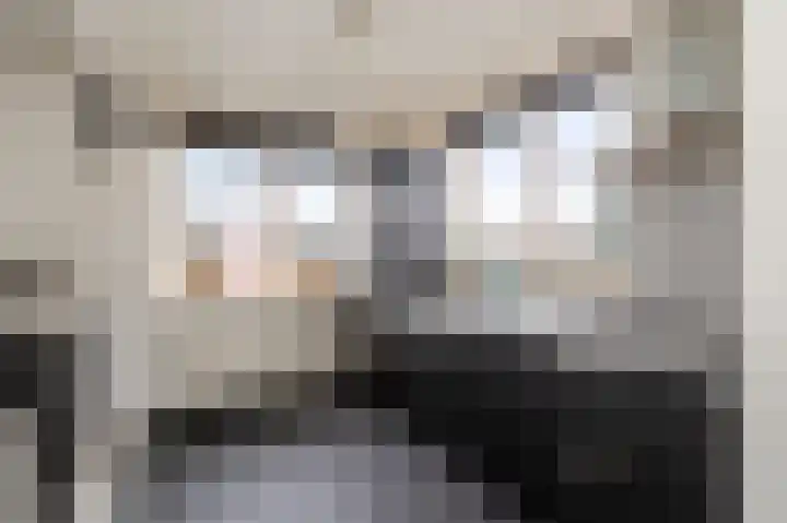 Woeringenstraat 12 Stein thumbnail 16