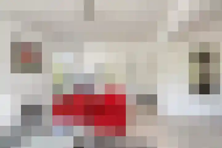 Woeringenstraat 12 Stein thumbnail 18