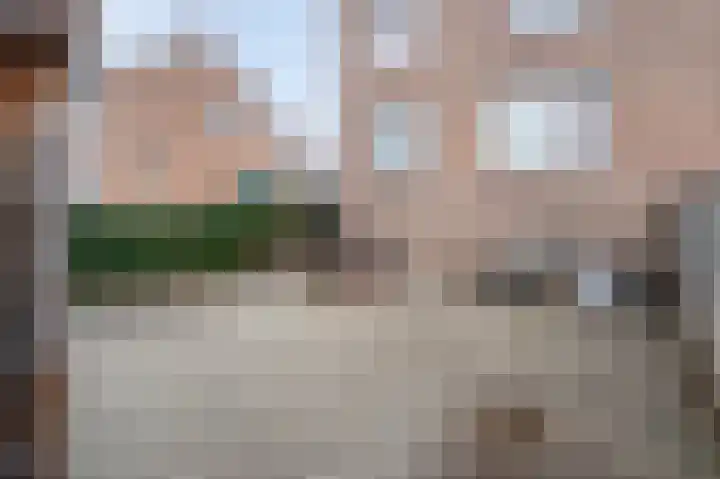 Woeringenstraat 12 Stein thumbnail 20