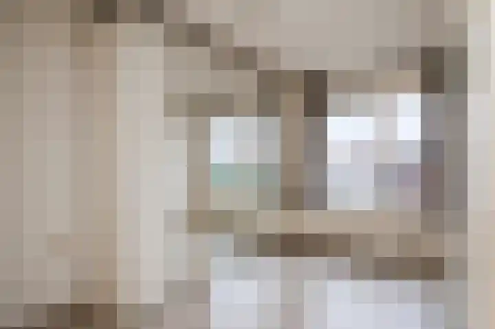 Woeringenstraat 12 Stein thumbnail 23