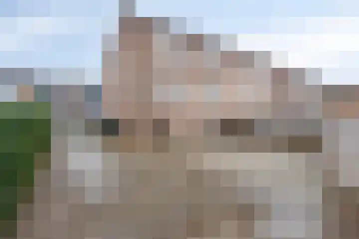 Woeringenstraat 12 Stein thumbnail 4