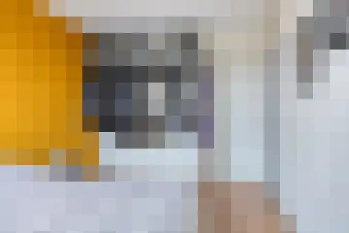 Woert 13 Haaksbergen thumbnail 16