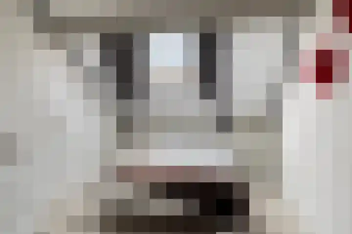 Woert 13 Haaksbergen thumbnail 20
